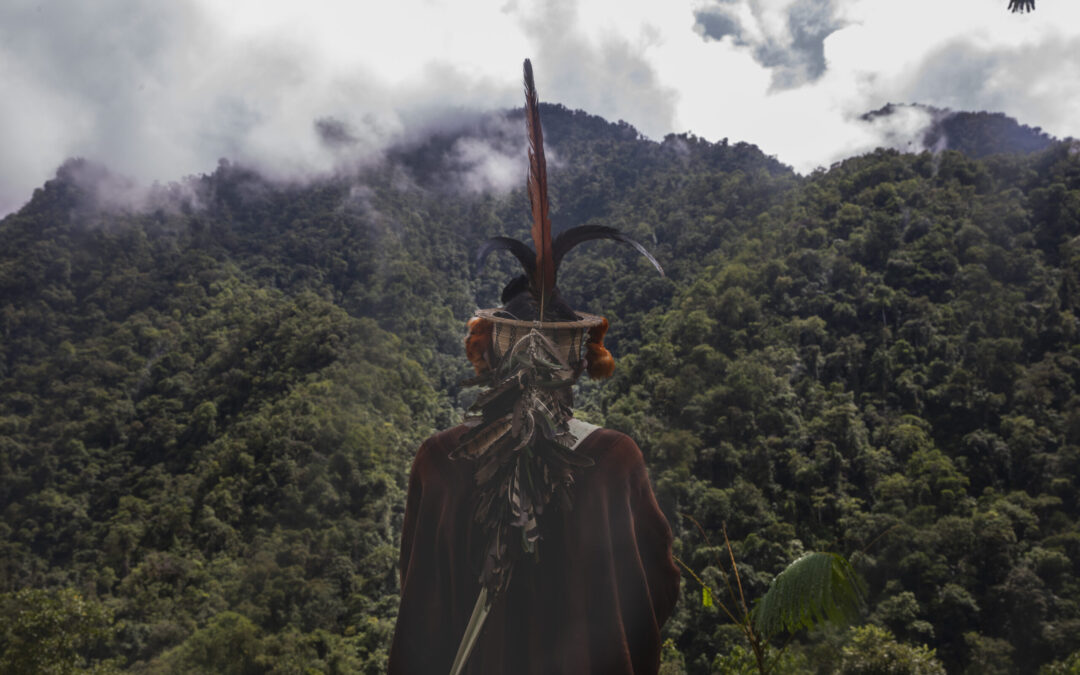 urge la lucha eficaz contra las economías ilícitas y preocupan las consecuencias del debilitamiento ambiental 