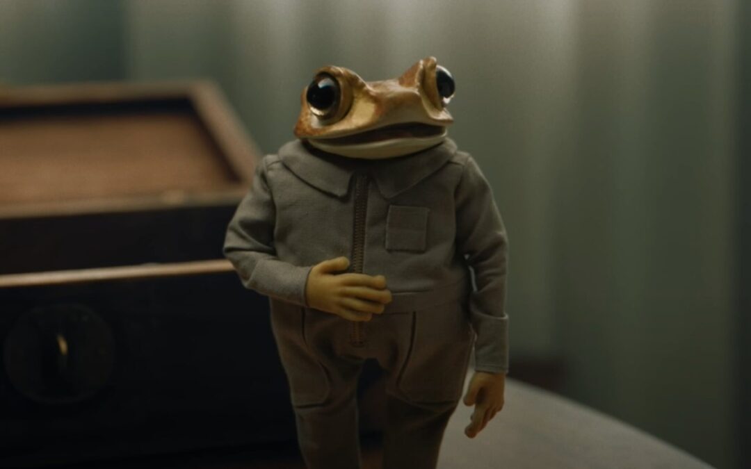 Concho, el sapo que recuerda la urgencia de salvar de la extinción a las especies del planeta