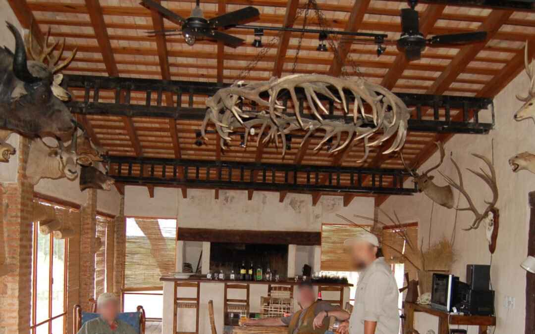 investigan lo que podría ser el caso más grande de tráfico de fauna en Argentina que llega hasta Bolivia