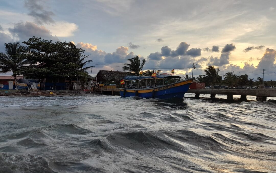 los temas marinos que marcaron 2024