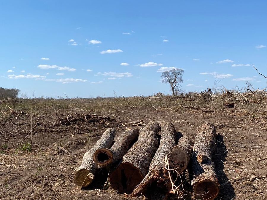 Minería ilegal, avasallamientos y menonitas amenazan a la reserva Tucabaca