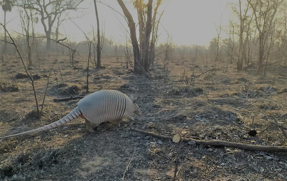 cuidar la naturaleza en plena crisis política y económica 