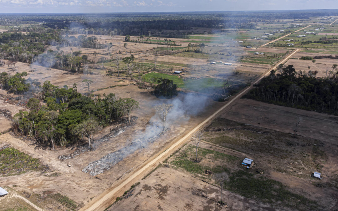 El rastro imborrable de deforestación dejado por colonias menonitas en Bolivia, Perú y Colombia