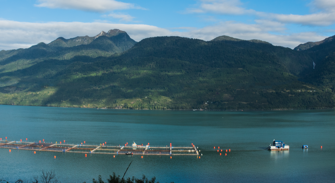 Chile se tensiona entre desarrollo económico y conservación
