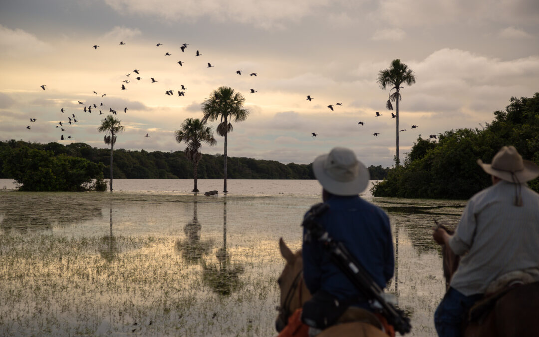 el desafío central de Petro será cumplir sus propias promesas en política ambiental