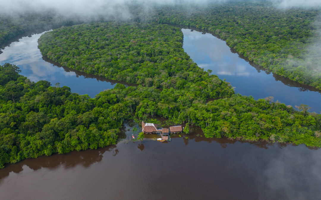 ¿Cómo avanza Perú en la implementación del reglamento cero deforestación de la Unión Europea?
