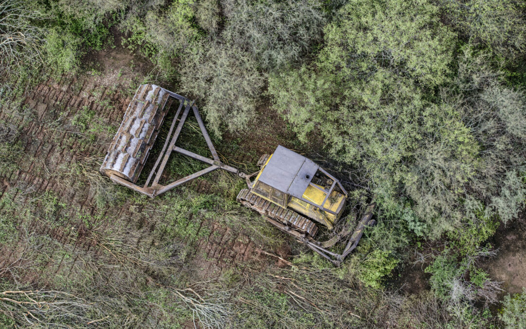 Bajo el gobierno de Milei, Argentina enfrenta sus mayores desafíos ambientales en 2025