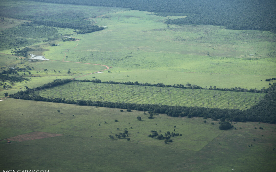 Intereses creados y tribus sociales