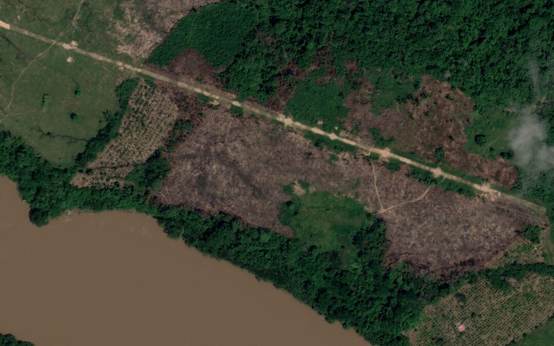 Narcopistas en la Amazonía peruana amenazan pueblos indígenas y ecosistemas sensibles