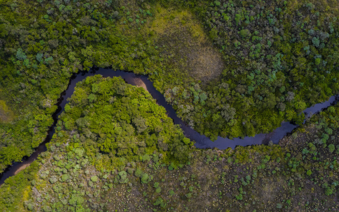 Las particularidades del movimiento migratorio en Colombia, Venezuela, las Guyanas y Surinam