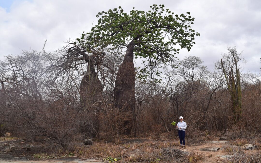 Susana Magallón: la científica mexicana que estudia la evolución de las flores