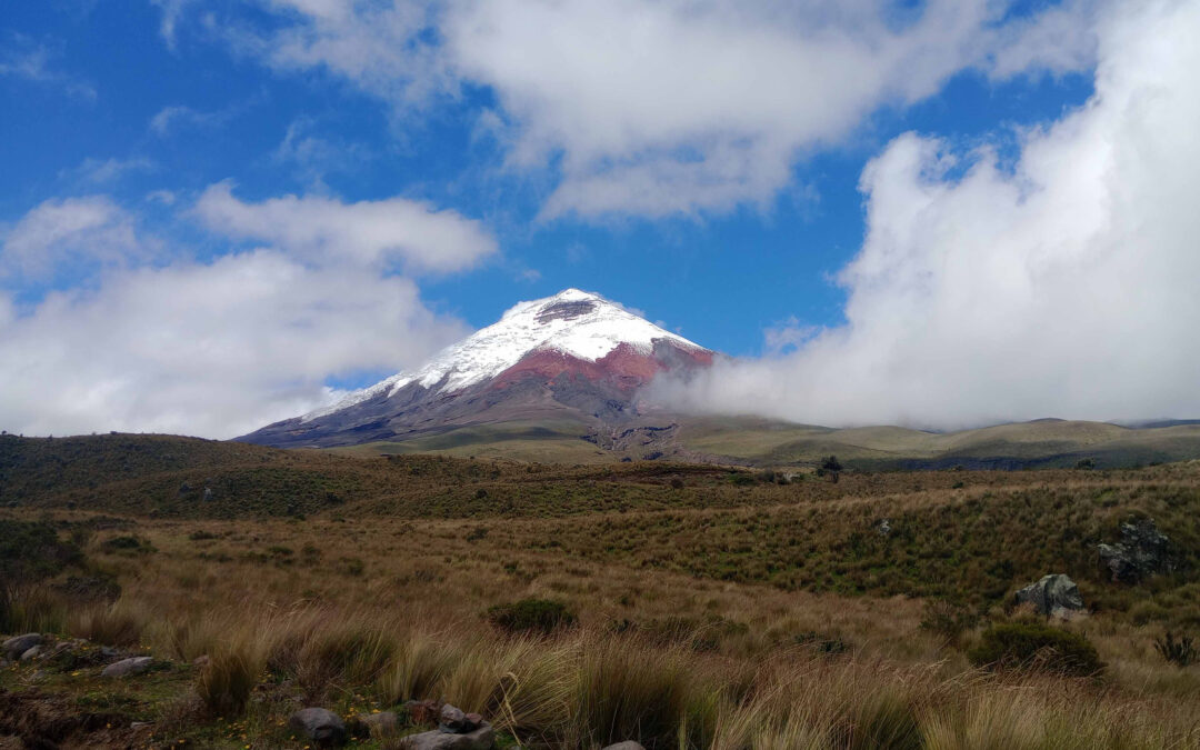 el calentamiento global es la causa central