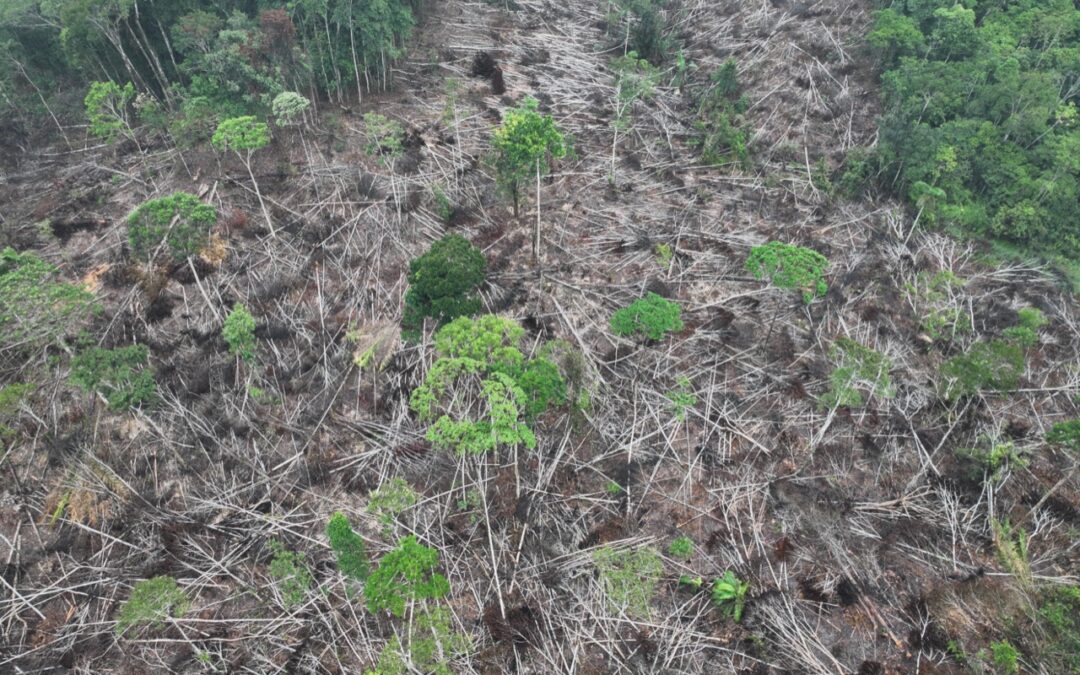 El petróleo que mueve a las personas: el caso ecuatoriano