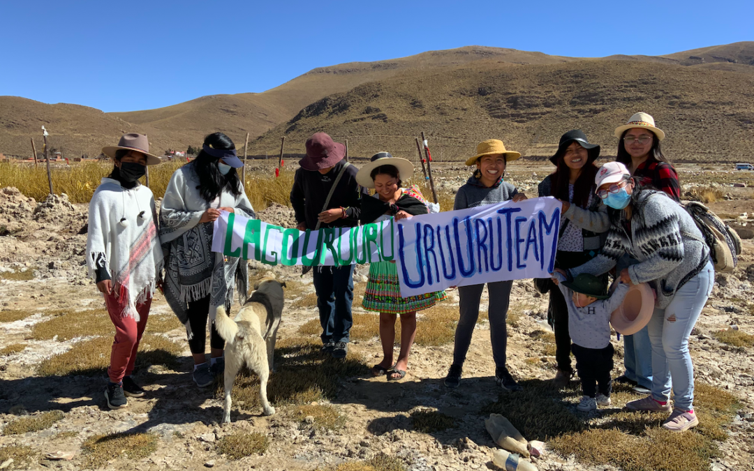 cómo salvar con plantas un lago a punto de morir contaminado