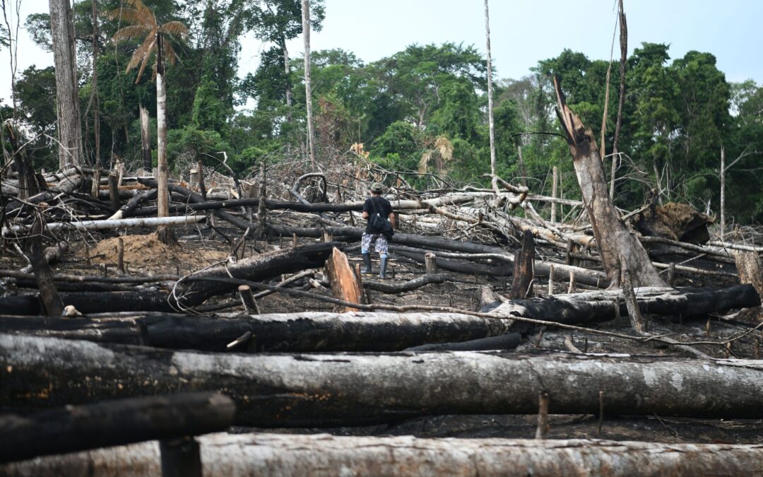 expertos son amenazados por revelar impactos a la biodiversidad
